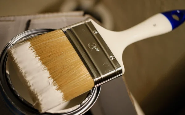 Paint